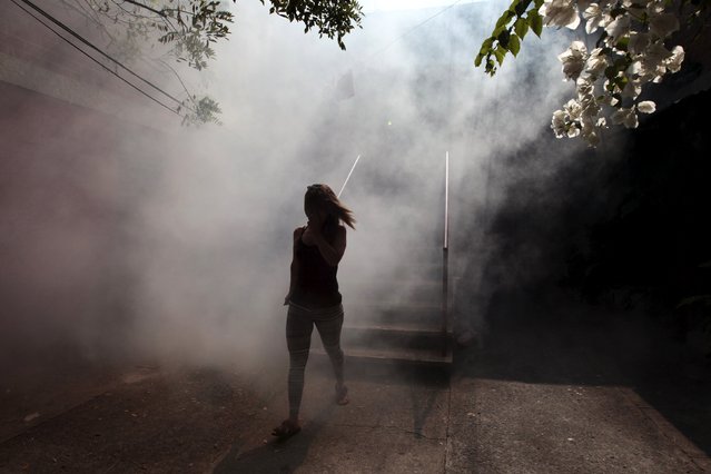 A woman walks away from her apartment as health workers fumigates the Altos del Cerro neighbourhood as part of preventive measures against the Zika virus and other mosquito-borne diseases in Soyapango, El Salvador January 21, 2016. (Photo by Jose Cabezas/Reuters)