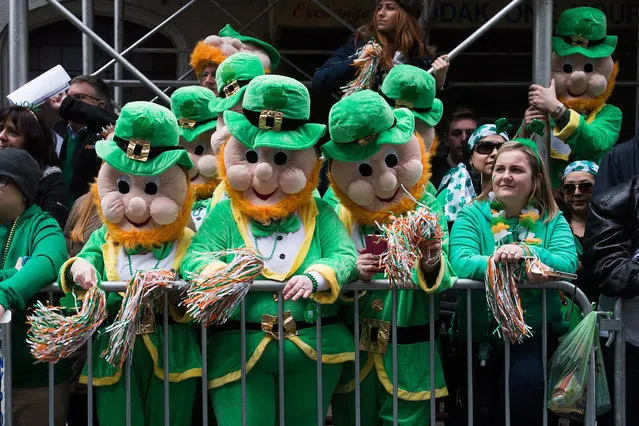 Tourists from Ireland dressed in giant leprechaun outfits watch the St. Patrick's Day parade in New York, New York, USA, 17 March 2015. The parade, which honors the Patron Saint of Ireland and the Archdiocese of New York, has been held in New York since 1762. (Photo by Justin Lane/EPA)