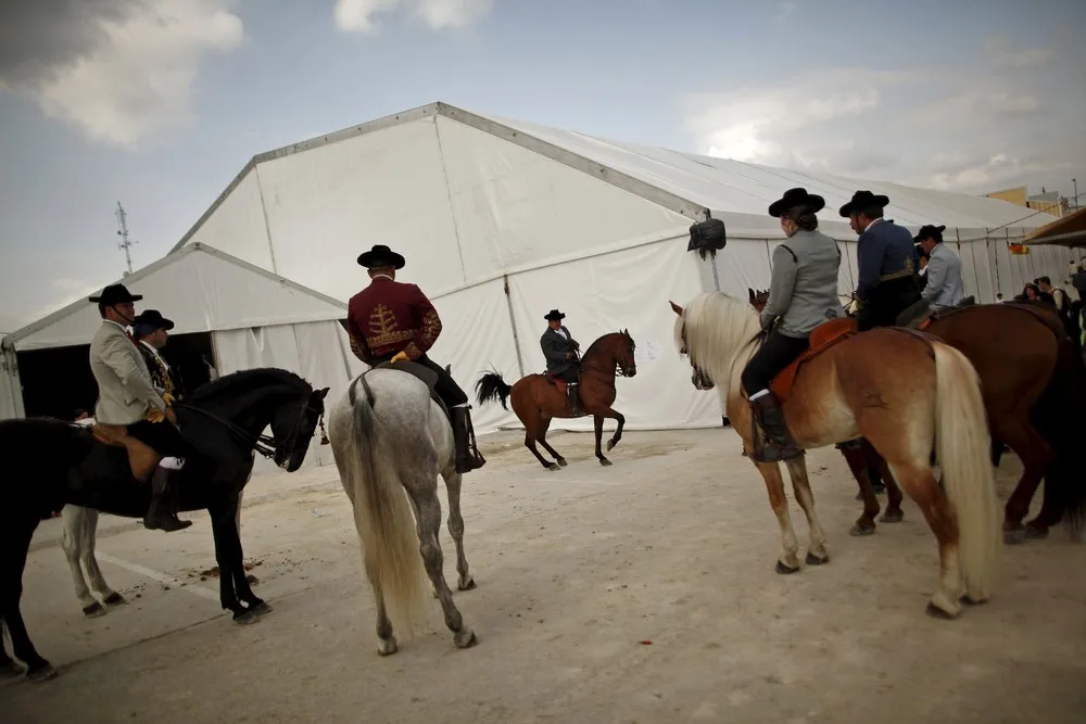 Sacab Andalusian Horse Show