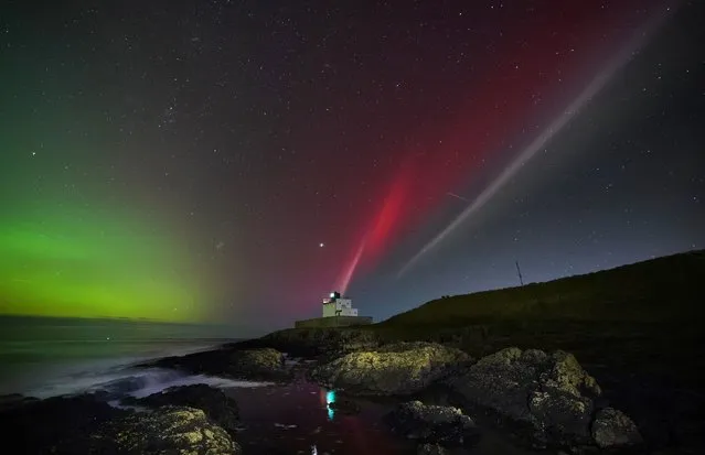 The aurora borealis (left) alongside a strong thermal emission velocity enhancement, a rare aurora-like phenomenon named a STEVE in 2016 by scientists in Canada, can be seen over Bamburgh castle, in Northumberland on the North East coast of England on Sunday, November 5, 2023. The atmospheric optical phenomenon is caused by a flowing ribbon of hot plasma breaking through into the earth's ionosphere, appearing in the sky as a purple, red and white arc. (Photo by Owen Humphreys/PA Images via Getty Images)