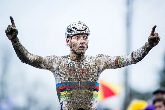 Dutch Mathieu Van Der Poel celebrates as he crosses the finish line to win the men's elite race of the 'GP Sven Nys' cyclocross cycling event, stage 4 out of 8 of the X2O Badkamers “Trofee Veldrijden” competition, in Baal on January 1, 2024. (Photo by Jasper Jacobs/Belga via AFP Photo)
