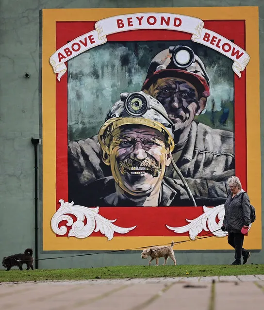 A woman walks her dogs past a mural tribute to the miners of Seaham painted by artist Cosmo Sarson titled “Above Beyond Below”, painted on the gable end of the Volunteer Arms pub in Seaham, north east England, on October 7, 2021. Dawdon coalmine, in northeast England, was abandoned three decades ago, but is being brought back to life and is now the unlikely setting for a green energy revolution. The carbon-intensive colliery, near the town of Seaham on the windswept northeast English coast, once pumped coal from deep underground until its closure in 1991. (Photo by Paul Ellis/AFP Photo)