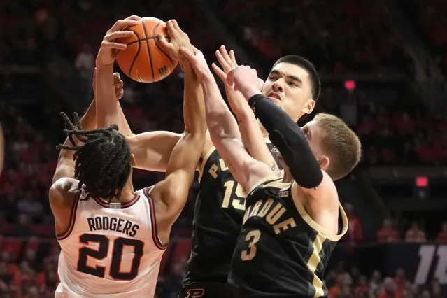 Illinois' Ty Rodgers (20) Purdue's Zach Edey, center, and Braden Smith vie for a rebound during the first half of an NCAA college basketball game Tuesday, March 5, 2024, in Champaign, Ill. (Photo by Charles Rex Arbogast/AP Photo)