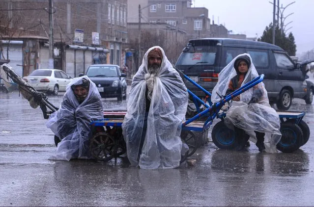 Afghan workers cover themselves with the plastic sheets during the rainfall as they sit on their hand carts along a road in Herat on March 12, 2024. (Photo by Mohsen Karimi/AFP Photo)