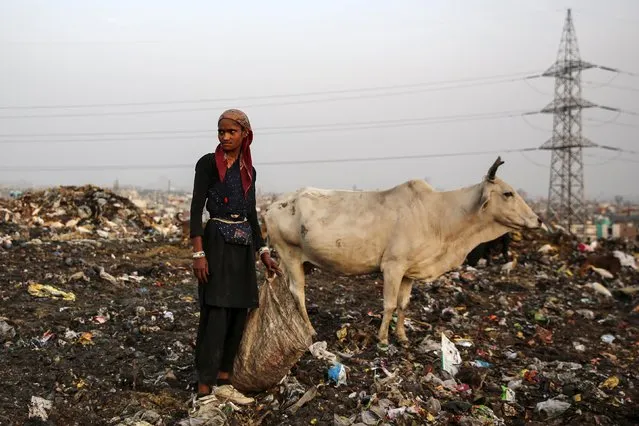 A girl collects recyclable material at a garbage dump in New Delhi, June 13, 2019. (Photo by Cheena Kapoor/Reuters)