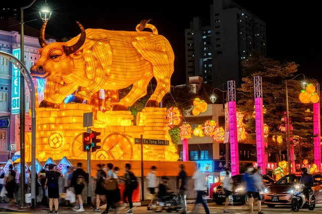 Pedestrians walk past a light sculpture of an ox at a road crossing ahead of the Chinese Lunar New Year of the Ox, otherwise known as the Spring Festival, in Singapore's Chinatown, January 31, 2021. (Photo by Loriene Perera/Reuters)