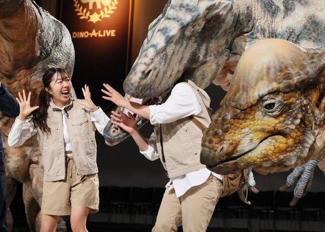 Japanese actress Mariko Nakamura and actor Yusuke Kashiwagi in a mouth of a dinosaur pose for photo at the opening event of a dinosaur show “Dino Safari 2024” in Tokyo on Friday, April 26, 2024. A live show with dinosaurs will be carried for holidaymakers of the Golden Week from April 26 through May 6. (Photo by Yoshio Tsunoda/AFLO via Alamy Live News)