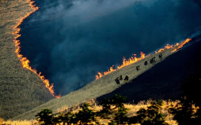 Firefighters battle the Marsh Fire near the town of Brentwood in Contra Costa County, Calif., Saturday, August 3, 2019. (Photo by Noah Berger/AP Photo)