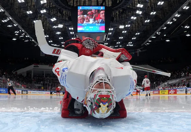 2016 IIHF World Championship, Group B, Hungary vs Belarus, St. Petersburg, Russia on May 14, 2016. Belarus' goalie Kevin Lalande warms up before the game with Hungary. (Photo by Yuri Kuzmin/Reuters)
