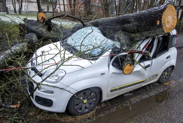 A car is destroyed by a fallen tree after a storm in Schwerin, Germany, Monday, February 21, 2022. A series of storms have hit northern Europe in recent days. (Photo by Jens Buettner/dpa via AP Photo)