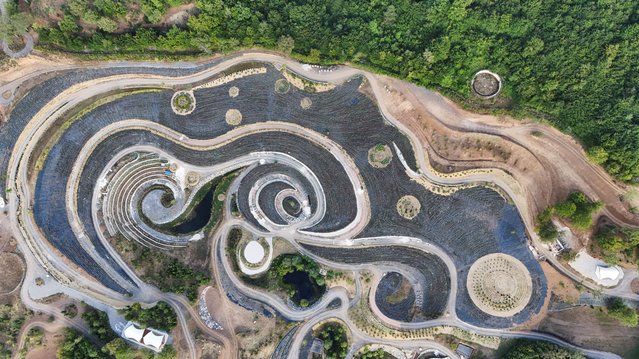 A drone view of a park transformed into a replica of Vincent Van Gogh's famous painting “Starry Night”, featuring fields of lavender, shrubs, and lakes connected by an array of paths, a project that mirrors the celebrated artwork in a natural setting in Visoko, Bosnia and Herzegovina, on August 3, 2024. (Photo by Amel Emric/Reuters)