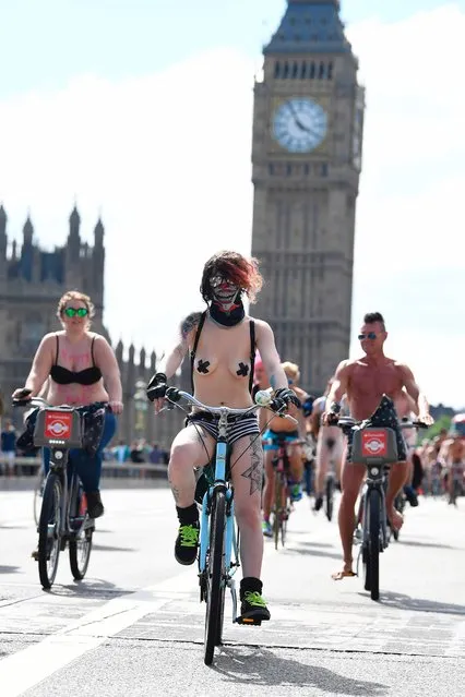 People take part in the World Naked Bike Ride 2017 across Westminster Bridge in central London on June 10, 2017. (Photo by Justin Tallis/AFP Photo)