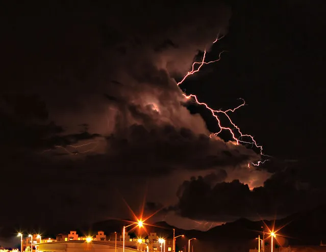 19 October, 2009. Sierra vista, Arizona