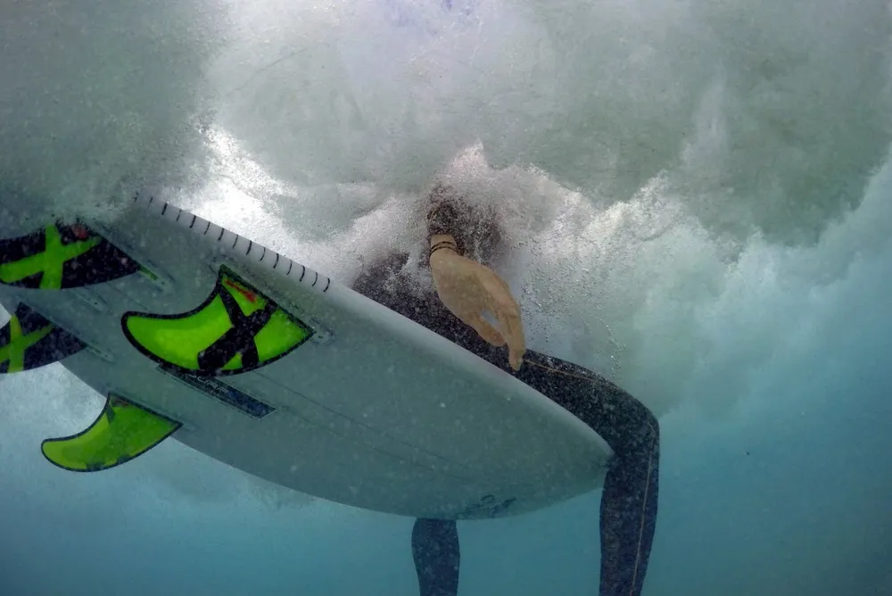 How Do Surfers Reconcile Shark Risk?