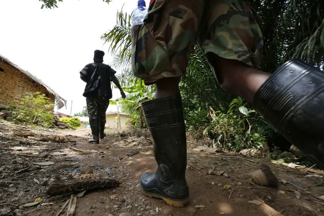 Members of Ghana's anti-smuggling task force walk at a plantation in Enchi, June 17, 2014. At the market in Karlo, a border town not far from Andrews Assum's cocoa plantation, a bag of rice that cost 75 cedis a year ago now sells for 120 cedis. “The market is very high, and the cedi is very low. You can't buy anything”, said the 35-year-old farmer. “We don't have enough money to continue our children's schooling”. (Photo by Thierry Gouegnon/Reuters)