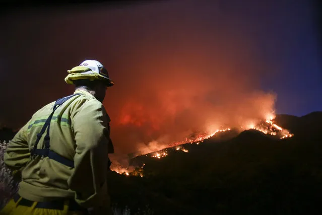 A firefighter watches a wildfire near Placenta Canyon Road in Santa Clarita, Calif., Sunday, July 24, 2016. (Photo by Ringo H.W. Chiu/AP Photo)