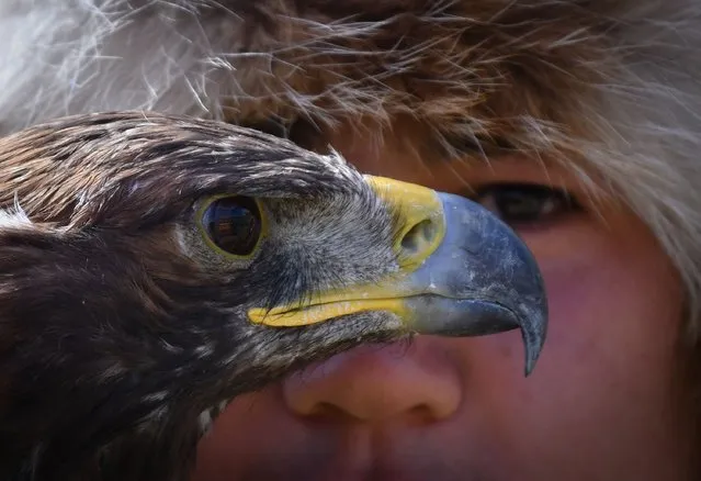 A Kyrgyz “berkutchi” (an eagle hunter) holds his golden eagle, during the hunting festival “Salburun”, in the Chunkurchak gorge, some 30 kilometres outside Bishkek, on August 29, 2022. Archers from Kazakhstan, Uzbekistan, Turkey, Malaysia, Singapore, Mongolia, Russia, Hungary, USA, Czech Republic, Germany, France, India, Spain and Indonesia take part in the festival of traditional hunting from Central Asia. (Photo by Vyacheslav Oseledko/AFP Photo)