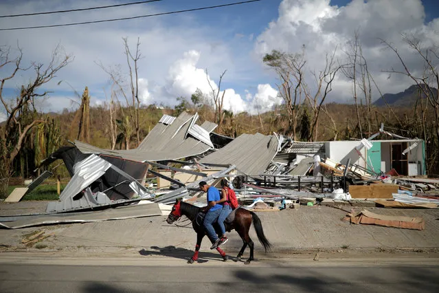 Local residents ride a horse by a destroyed building after Hurricane Maria in Jayuya, Puerto Rico October 4, 2017. (Photo by Carlos Barria/Reuters)