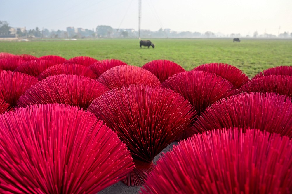 A Look at Life in Vietnam