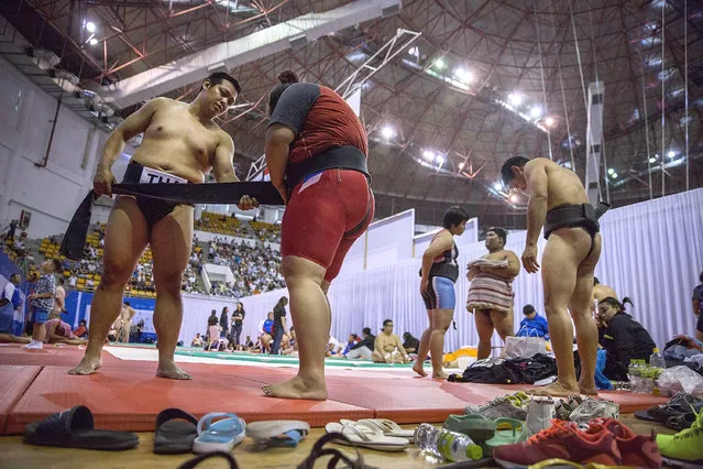 Thai wrestlers put on Mawashi before competing during the 2016 World Sumo Championship on July 30, 2016 in Ulaanbaatar, Mongolia. (Photo by Taylor Weidman/Getty Images)