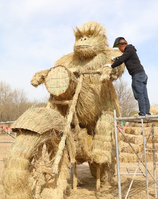A worker makes a giant scarecrow featuring baboon prior to the Scarecrow Art Festival at Mingcui Lake National Wetland Park on April 16, 2025 in Yinchuan, Ningxia Hui Autonomous Region of China. (Photo by Yu Jing/China News Service/VCG via Getty Images)