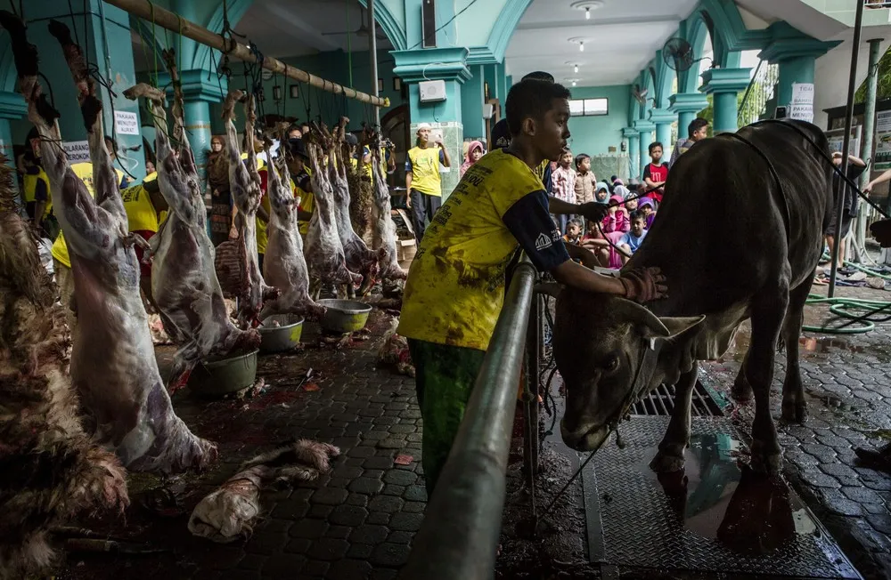 Muslims this Week, Part 2/2