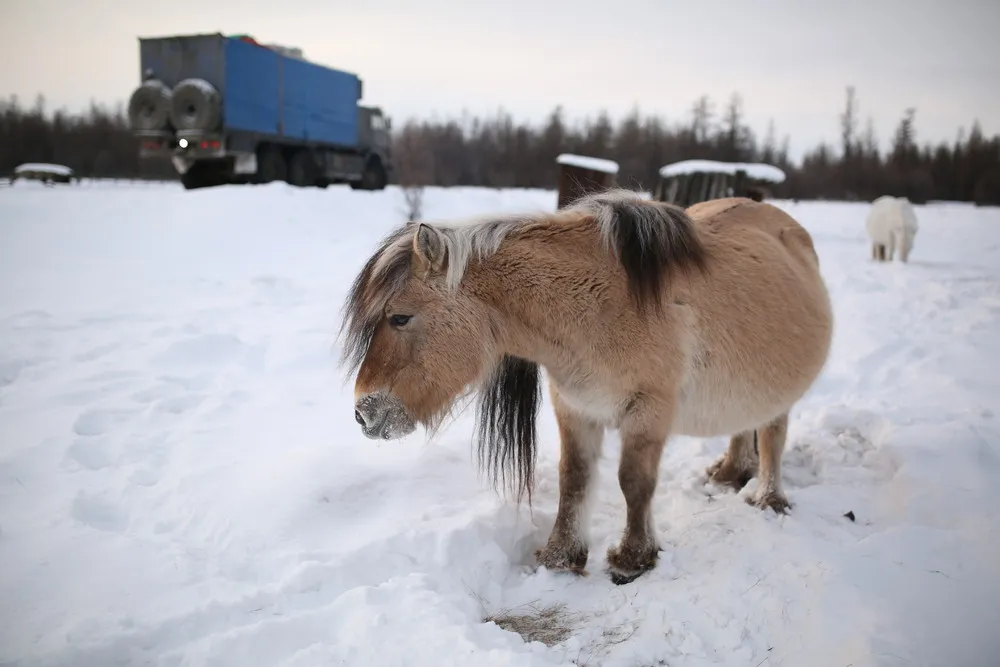 Russia's Frozen Heart