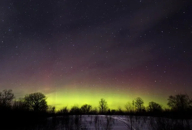 The glow of the Aurora Borealis, or Northern Lights, is seen in the horizon in the Kawartha Lakes region, southern Ontario February 23, 2015. The colorful cosmic display of the northern lights is rarely seen in Ontario. (Photo by Fred Thornhill/Reuters)