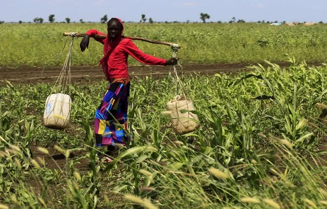 A girl walks to bring water during a visit by a European Union delegation, at an IDP camp in Azaza, east of Ad Damazin, capital of Blue Nile state, October 21, 2015. (Photo by Mohamed Nureldin Abdallah/Reuters)