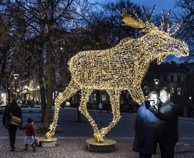 A couple takes a selfie in front of an illuminated Christmas moose decoration at Nybroplan in central Stockholm, Sweden, Saturday November 22, 2014, when some 710,708 different LED lights for the season, arranged by the city council, were switched on. (Photo by Jessica Gow/AP photo/TT News Agency)