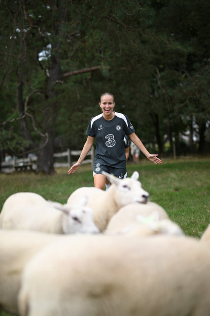 Guro Reiten of Chelsea reacts during a Chelsea FC Women's team bonding activity, sheep herding, on August 15, 2025 in Apeldoorn, Netherlands. (Photo by Harriet Lander – Chelsea FC/Chelsea FC via Getty Images)