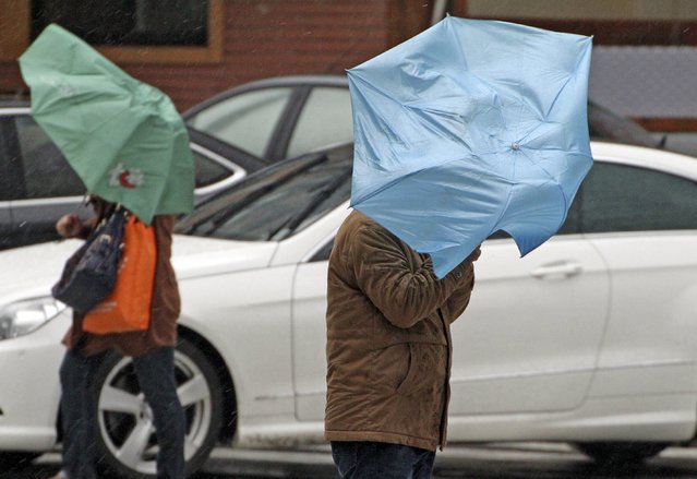 Umbrellas are blown by wind during a heavy rain in Yantai, Shandong province, November 6, 2015. (Photo by Reuters/Stringer)