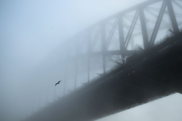 The Sydney Harbour Bridge disappears under a thick blanket of fog in Sydney, Australia, 02 June 2025. A thick fog blanketing Sydney has cancelled ferries and delayed flights. (Photo by Bianca de Marchi/EPA)