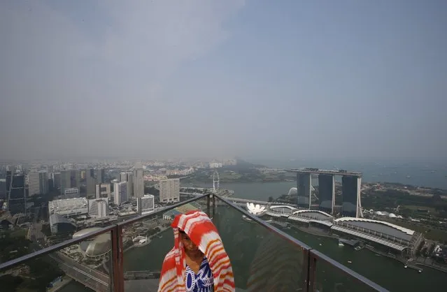 A tourist stands at an observatory point overlooking the Marina Bay area that was largely built on reclaimed land in Singapore November 5, 2015. (Photo by Edgar Su/Reuters)