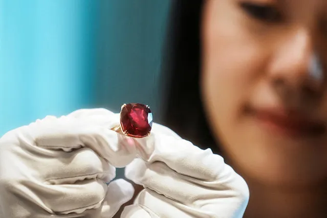 An employee poses with the 55.22 carat “The Estrela de Fura” ruby, the largest in the world and expected to fetch up to $30 million in an upcoming New York auction, during a preview at Sotheby's, in Hong Kong, China on April 17, 2023. (Photo by Lam Yik/Reuters)
