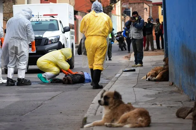 State department health workers recover the body of a street vendor who was found at dawn by his neighbors in the Cerro San Miguel neighborhood of Cochabamba, Bolivia, Saturday, July 25, 2020. As part of a government mandated protocol to curb the spread of the new coronavirus, health officials are being called on to disinfect and take COVID-19 rapid tests from the increasing number of bodies they are called on to collect, regardless on whether they are known to have been infected with the virus. (Photo by Dico Solis/AP Photo)