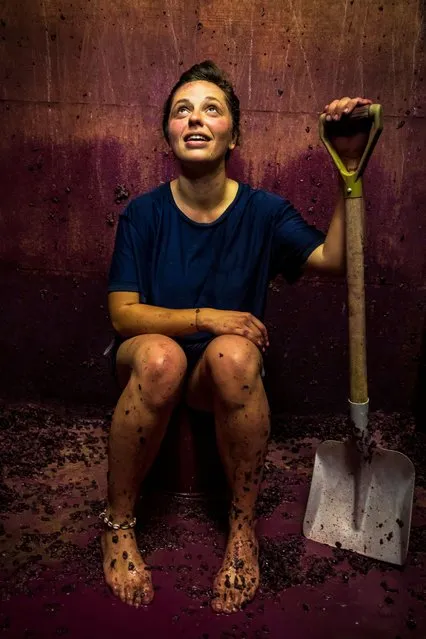 Errazuriz Wine Photographer of the Year, Overall (and People) – Girl After Emptying a Tank at the End of the Fermentation. “Girl resting after emptying a vat after the fermentation of the grapes in a vineyard in Burgundy. Physical and tiring work”. (Photo by Thierry Gaudillère/Pink Lady Food Awards 2023)