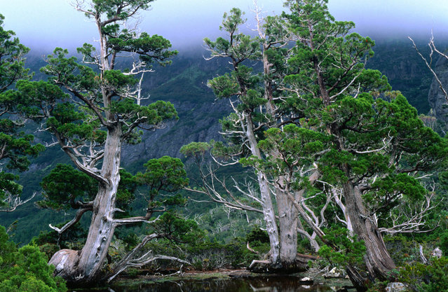Gunung Leuser National Parkr"