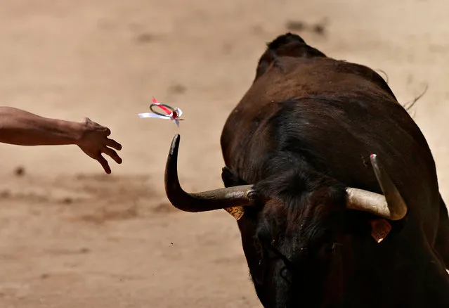 A Recortador de Anillas throws a ring onto a wild cow's horn during a display at the San Fermin festival in Pamplona, Spain, July 7, 2018. (Photo by Vincent West/Reuters)