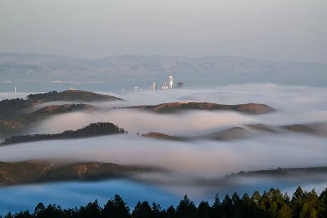 San Francisco Bay and Pacific Coast were stunned under a blanket of fog as seen from Mt Tamalpais State Park of Mill Valley in California, United States on July 2, 2023. (Photo by Tayfun Coskun/Anadolu Agency via Getty Images)