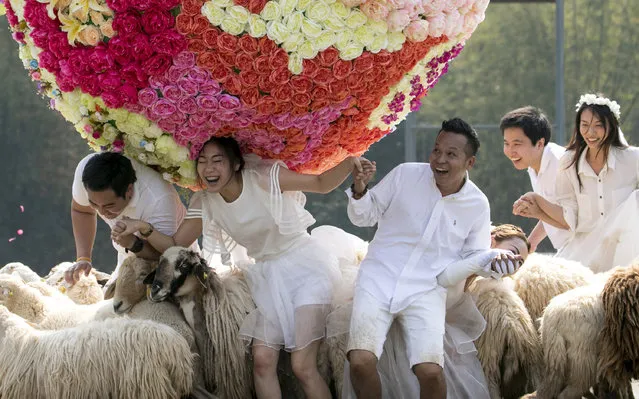 Three newlywed couples from left, Artit Thanajindawong and Daradai Wachirapootthacoon, Prontathorn Pronnapatthun and Chaiyut Phuamgphoeksuk, and Pirat Rungthongoran and Nichapatr Koomsombut frolic at a resort in Ratchaburi province in western Thailand, Friday, February 13, 2015. (Photo by Wason Wanichakorn/AP Photo)