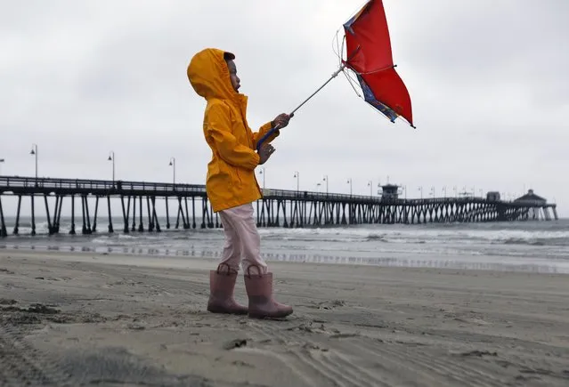 Reagan King battles the wind while out with her parents at Imperial Beach after the eye of Tropical Storm Hilary passed on Sunday, August 20, 2023, in San Diego. The Imperial Beach Pier was closed to the public. (Photo by K.C. Alfred/The San Diego Union-Tribune via AP Photo)