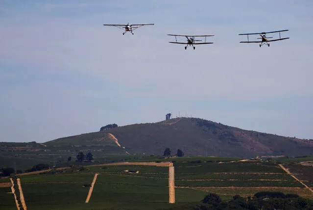 Aircrafts taking part in the Vintage Air Rally prepare to land, in Stellenbosch, near Cape Town, South Africa December 16, 2016. (Photo by Mike Hutchings/Reuters)