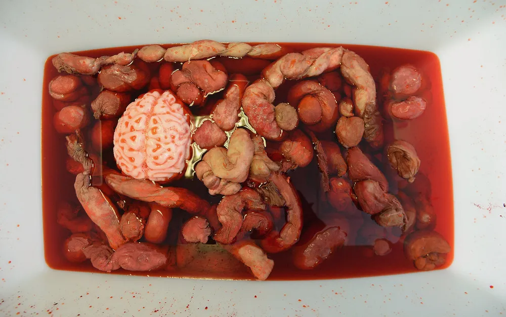 Students in Blood and Guts Fight in Empty Pool