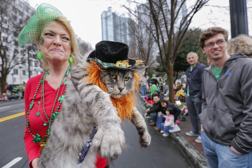 The Week in Pictures: March 13 – March 20, 2015. Part 5/5