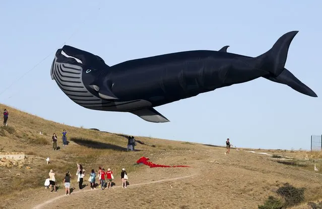 A whale kite launched during the 6th Tavrida Art Festival of young artists in the Kapsel Bay near the town of Sudak, southeastern Crimea, Russia on September 9, 2021. (Photo by Sergei Malgavko/TASS)