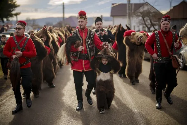 Members of the Sipoteni bear pack, wearing bear fur costumes, walk on a road before performing their dance for villagers in Racova, northern Romania, Tuesday, December 26, 2023. The dancing bears tradition originates from the pre-Christian era, when dancers wearing colored costumes or animal furs, toured from house to house in villages singing and dancing to ward off evil. (Photo by Vadim Ghirda/AP Photo)