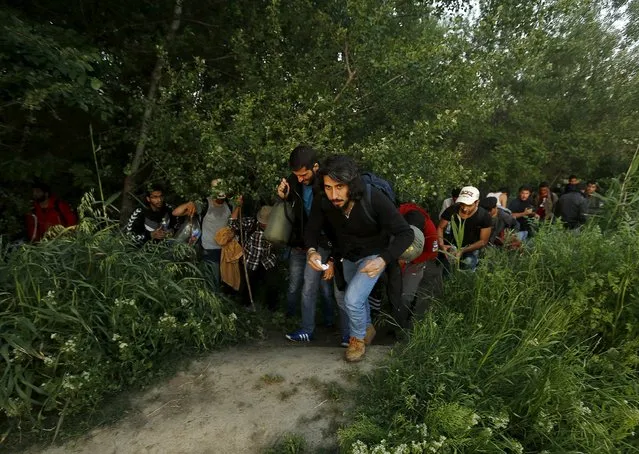 A group of Syrian immigrants hide as they walk towards Greece's border with Macedonia in Kilkis prefecture May 14, 2015. (Photo by Yannis Behrakis/Reuters)