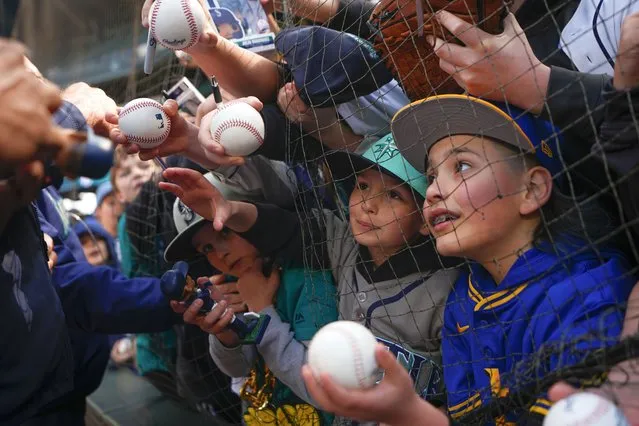 Fans vie for an autograph from Seattle Mariners center fielder Julio Rodríguez before a baseball game between the Mariners and the Cleveland Guardians, Wednesday, April 3, 2024, in Seattle. (Photo by Lindsey Wasson/AP Photo)