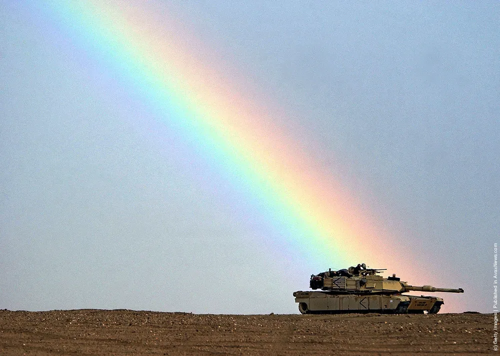 Tanks In The Wild Nature